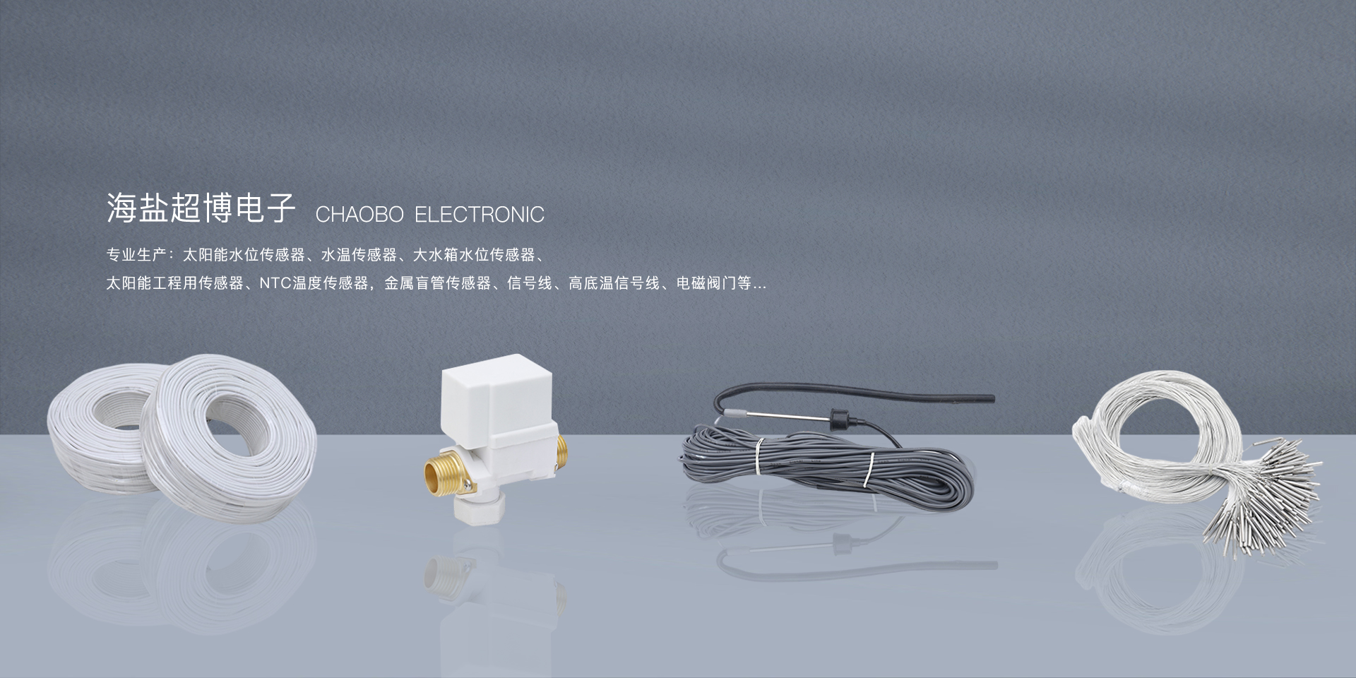 海盐超博电子有限公司